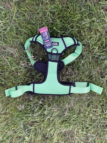 Premium Dog Harness No Pull With Sturdy Handle 2 Lead Attachments Dogs Vest Reflective/Lighted in Green