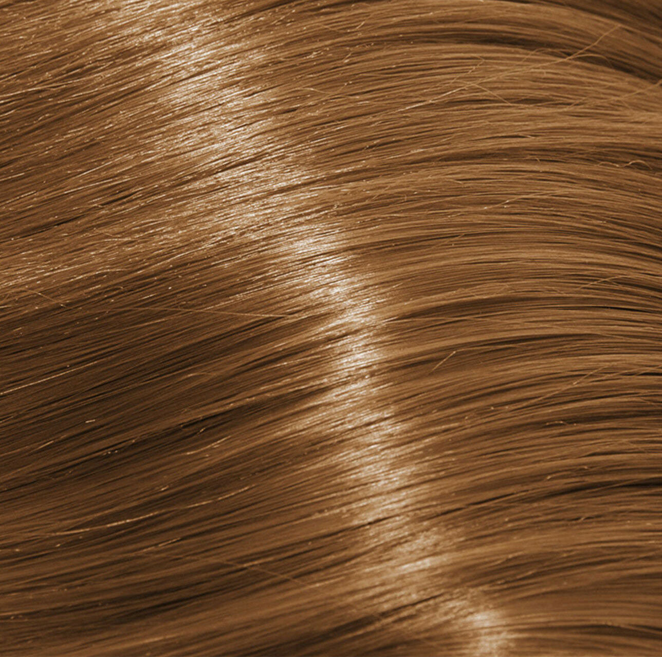 XP100 Intense Radiance Permanent Hair Colour - 10.1 Lightest Ash Blonde 100ml